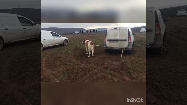 4 тур тестовых испытаний смотреть онлайн