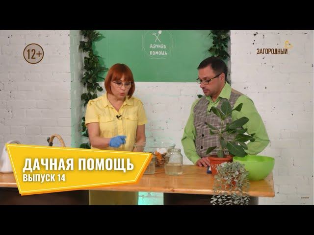 Дачная помощь \\ Выпуск 14 смотреть онлайн
