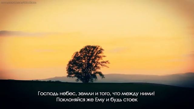 Очень красивое чтение Священного Корана! تلاوة جميلة جدا من القران الكريم смотреть онлайн