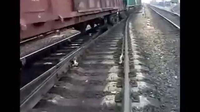 Составитель поездов. Один день глазами составителя