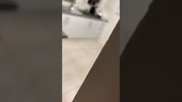 Guy Lays Tin Foil on Kitchen Counter to Stop Cat From Jumping on it - 1107758 смотреть онлайн