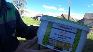 Краска для деревьев садовая.Очень хороший результат.