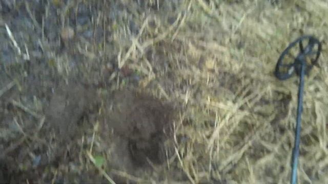 Поиск с Эквинокс 800 Надоела самоизоляция С Аленушкой выехали на коп Поддельная двушка под десятик! смотреть онлайн