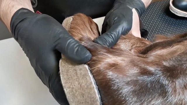 Унты или UGG? ? Оленьи унты Сахабулт и на собачьем меху из Монголии. Обзор конструкции и качества смотреть онлайн