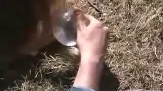 Как разжечь костер с помощью презерватива смотреть онлайн