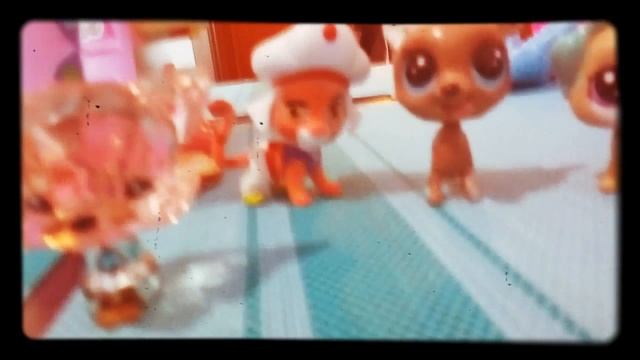 Моя коллекция петов и их аксессуары смотреть онлайн