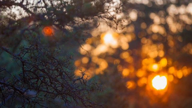 Песни нашего века Как здорово, что все мы здесь сегодня собрались смотреть онлайн