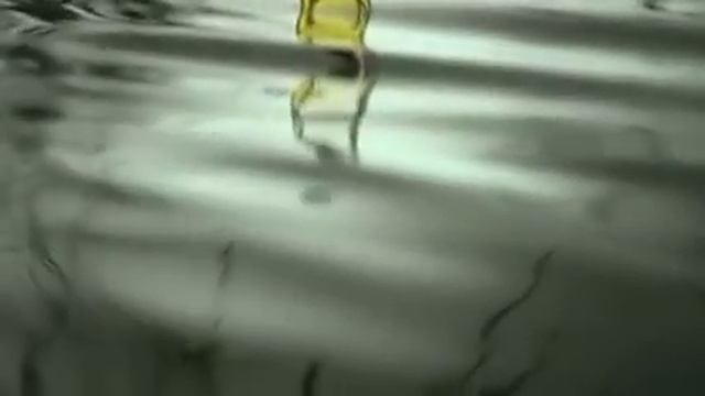 HERMÈS - Le Jardin de Monsieur Li смотреть онлайн