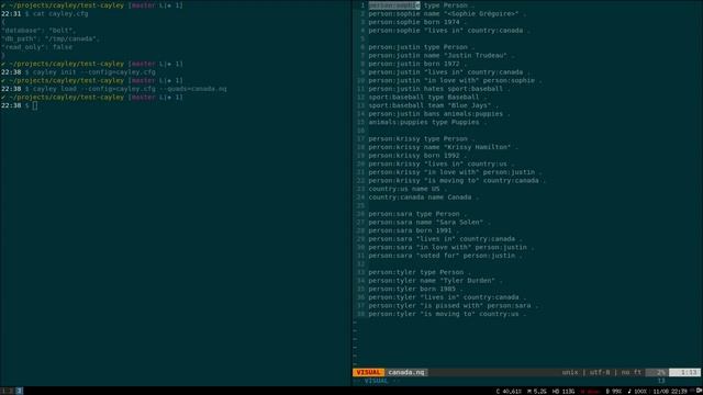 Demo of Cayley - Graph Database written in Go смотреть онлайн