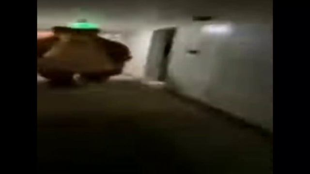 Медведь бежит по коридору под музыку! смотреть онлайн