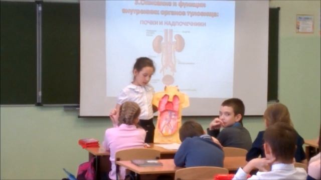 2020-03-04 Защита проекта "Анатомия человека. Строение туловища" (3 класс, Братск) смотреть онлайн