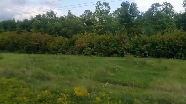 Пригородный поезд Димитровград-Ульяновск. Июнь-2021. смотреть онлайн
