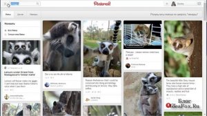 Что такое Pinterest (Пинтерест) и как им пользоваться?