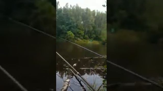 Рыбалка в Афанасьево смотреть онлайн