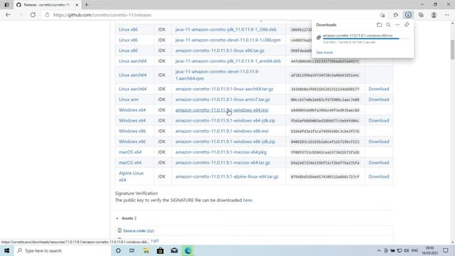 Installing iDempiere Dev Environment on Windows - Part 1: Install Java 11 смотреть онлайн