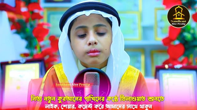 তিলাওয়াত নয় যেন জান্নাত থেকে ভেসে আসা সুর | মারকাযুল কুরআন মাদরাসা | Beautiful Quran Recitation