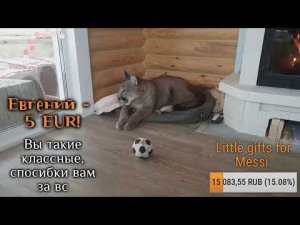 Прямой эфир. В новом доме. 5 января