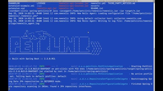 Monitoring an Application with New Relic смотреть онлайн