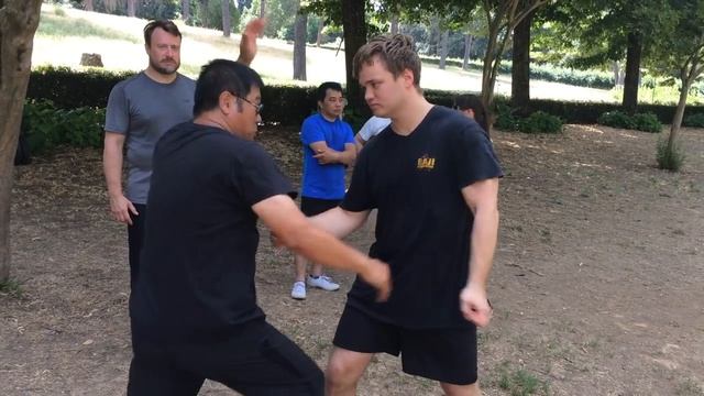 International Baji Seminar in Rome 2018 смотреть онлайн