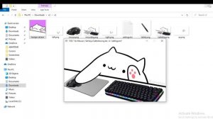 how to download bongo cat v2 in pc obs