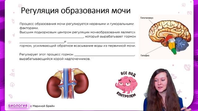 ВЫДЕЛИТЕЛЬНАЯ СИСТЕМА ЧЕЛОВЕКА | ЕГЭ | ОГЭ смотреть онлайн