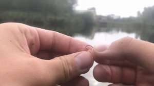 Супер НАСАДКА на КАРАСЯ. ЛОВЛЯ КАРАСЯ на поплавок. Рыбалка на карася летом.