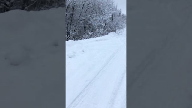 Сказочный лес. Дача на ПМЖ. Эпизод 35 смотреть онлайн
