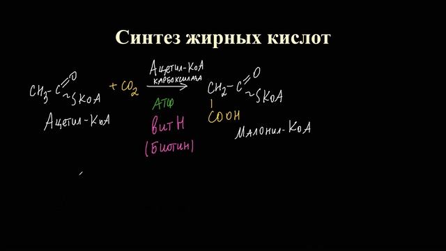 Лекция 9.4. Синтез ВЖК смотреть онлайн