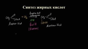 Лекция 9.4. Синтез ВЖК