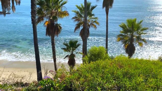 4K Laguna Beach California - Scenic Walking Tour  Heisler Park Sunset Trace ?