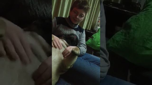 Максик делает вид, что злится. смотреть онлайн