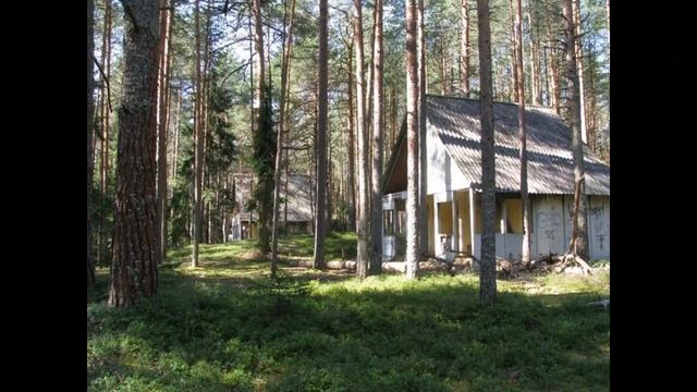 КАК ВКЛЮЧИТЬ МЕХАНИЗМ САМОИСЦЕЛЕНИЯ смотреть онлайн