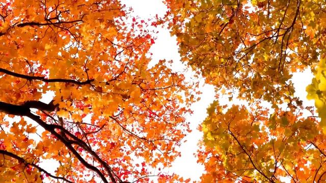 Заклинание для привлечения Счастья в свою Судьбу смотреть онлайн