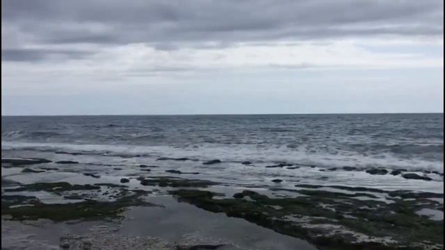 Турция 2020. Турция, Алания, Махмутлар. Обзорное видео 9 апреля. Polat Alanya все о жизни в Турции. смотреть онлайн