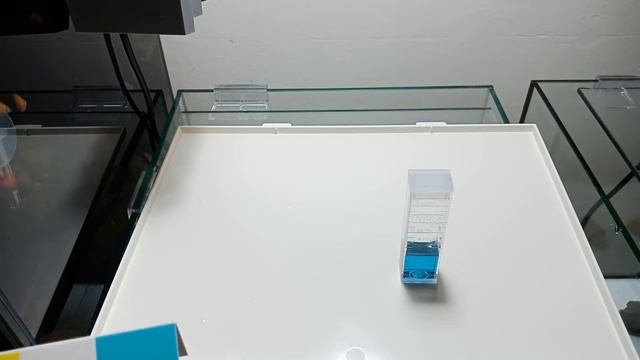 2 WEEKS UPDATE Water Change & Test pH Value Mollies fish Tank смотреть онлайн