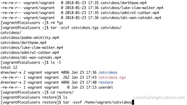 Linux tar Command Tutorial with Examples: .tar, .tar.gz, .tgz смотреть онлайн