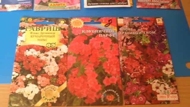 Цветы однолетки для огорода! Подборка лучших сортов для Сибири смотреть онлайн