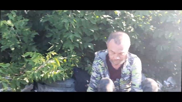 БОМЖИК ЕПС ВАЛЯЕТСЯ В КУСТАХ смотреть онлайн