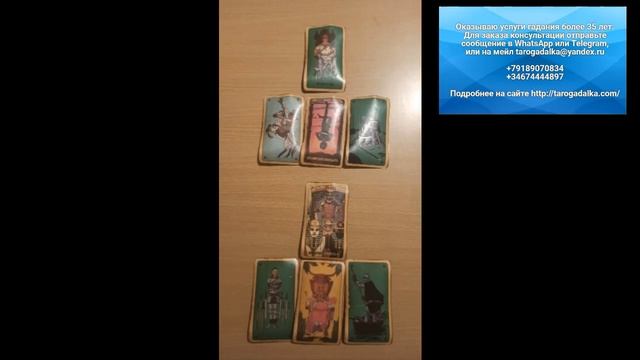 Будущая работа в ветклинике. смотреть онлайн