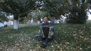 Шансон и гармонь.Журавли улетают.В.Белоглазов