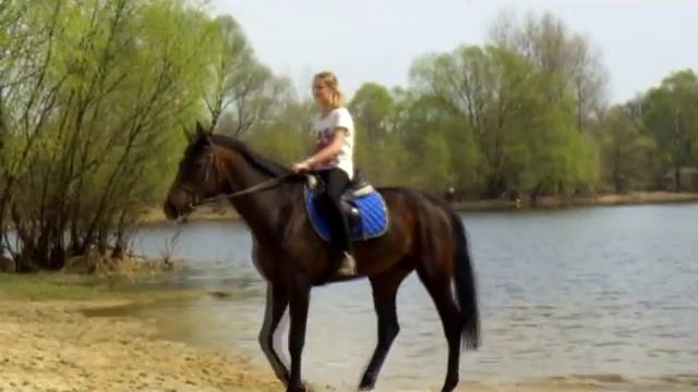 M. Marbles ride a horse смотреть онлайн
