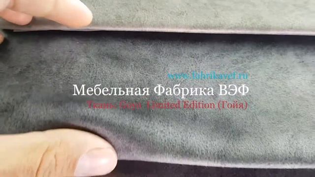 Обзор мебельной ткани, обивки Goya - Гойя (Арбен) смотреть онлайн