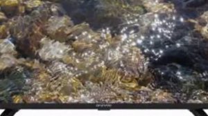 Отзыв от владельца телевизора SkyLine 40LT5900 40 дюймов простой и шустрый в настройках телек