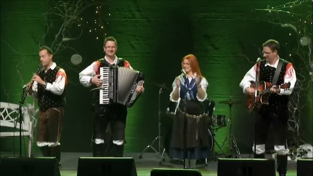 Ansambel Rosa - Zlata Tina (Tina Maze song) (MGNZ 2014) смотреть онлайн