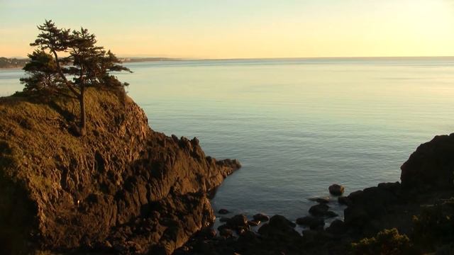 Very Pacific Ocean-1. Очень Тихий океан-1 (2161sp) смотреть онлайн