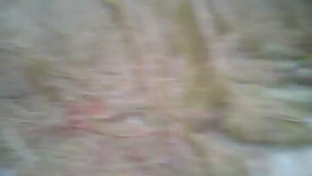 setter becasse смотреть онлайн