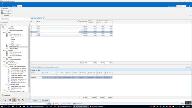 How a Warehouse Manager can use WiSys to View Bin Information смотреть онлайн