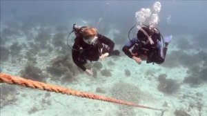 Обучение дайвингу (PADI OWD)- часть 3