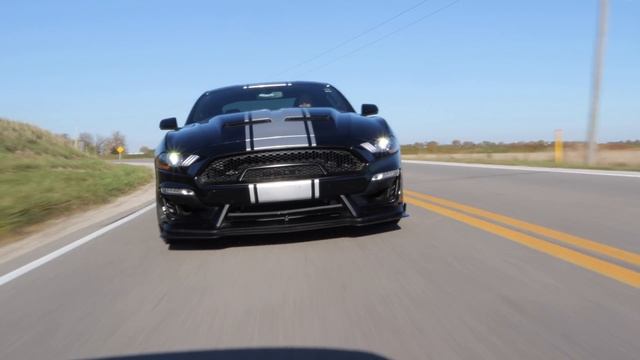 2020 Shelby Super Snake Review // 800 Horsepower GT500 Killer смотреть онлайн