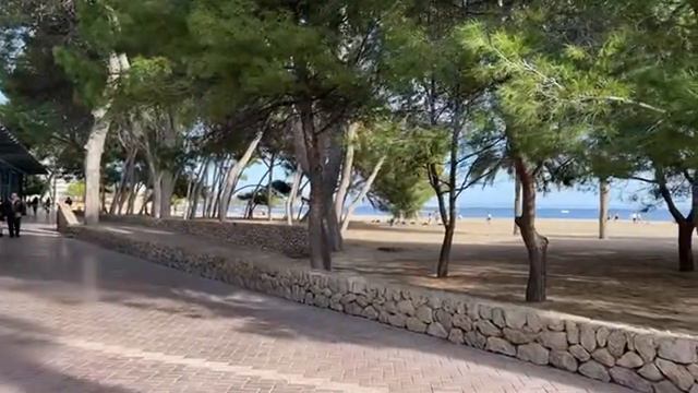 🔴LIVE in Palmanova (Majorca) Mallorca | 14 January 2024 смотреть онлайн